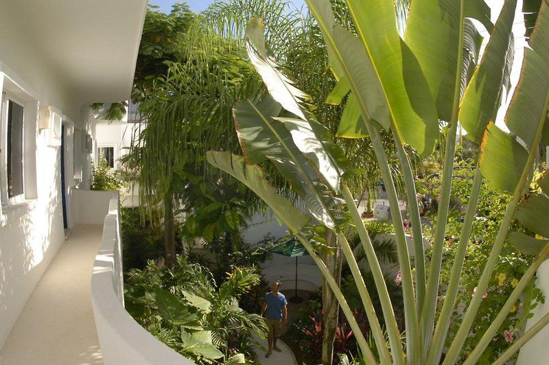 Aqualuna Boutique Hotel By Sunrise (Adults Only) Плая-дель-Кармен Экстерьер фото